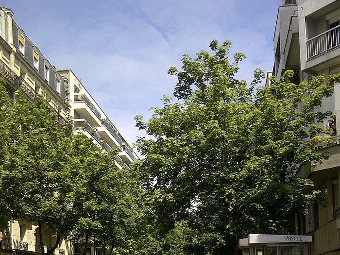 Quartier des Epinettes - Paris 17